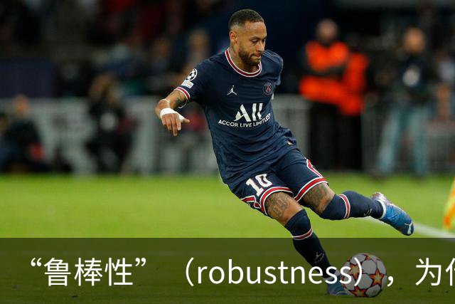 “鲁棒性”（robustness），为什么是糟糕的翻译？