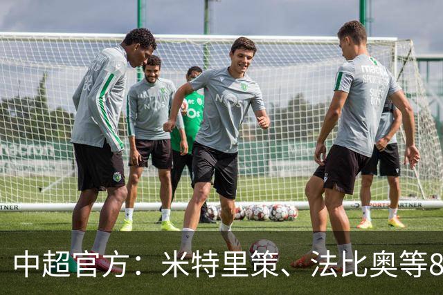中超官方：米特里策、法比奥等8人入围8月&9月最佳候选名单