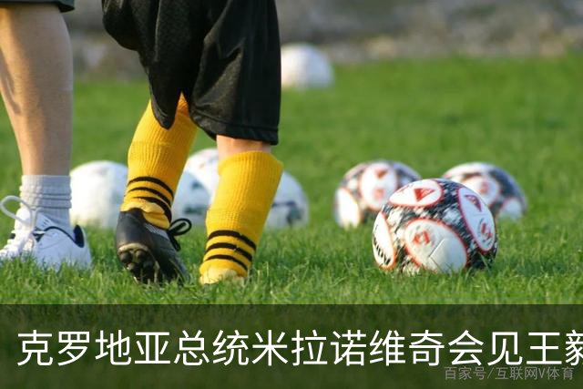 克罗地亚总统米拉诺维奇会见王毅