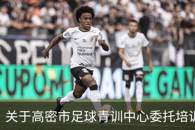 关于高密市足球青训中心委托培训项目遴选结果的公示