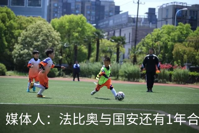 媒体人：法比奥与国安还有1年合约，高层认可他，留下很乐观