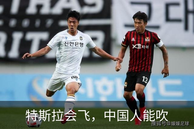 特斯拉会飞，中国人能吹