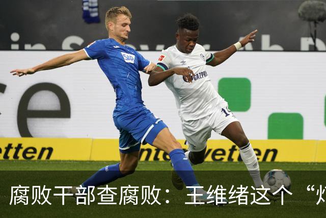 腐败干部查腐败：王维绪这个“灯下黑”样本