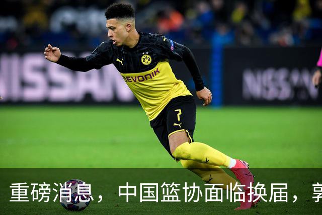 重磅消息，中国篮协面临换届，郭振明下课，姚明、刘玉栋、王治郅等4人，担任新掌门人，呼声最高！