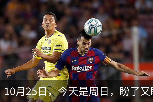 10月25日，今天是周日，盼了又盼的2026年养老金调整通知，终归到如今还是没有如人所愿